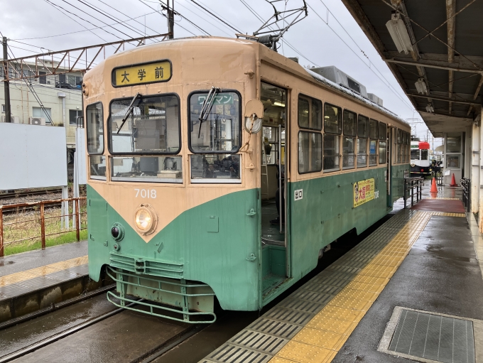 鉄道乗車記録の写真:乗車した列車(外観)(3)        「富山地方鉄道7000形電車。南富山駅前停留場乗車専用線。」