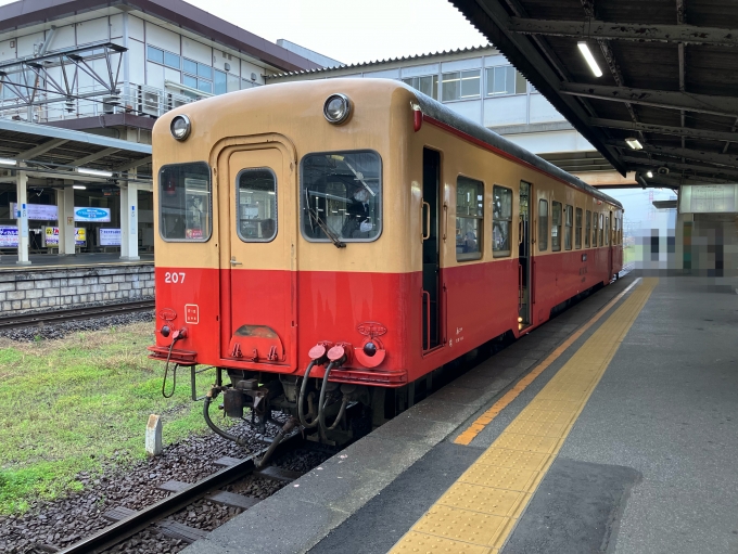 鉄道乗車記録の写真:乗車した列車(外観)(3)        「小湊鐵道キハ200形気動車。五井駅3番線。」