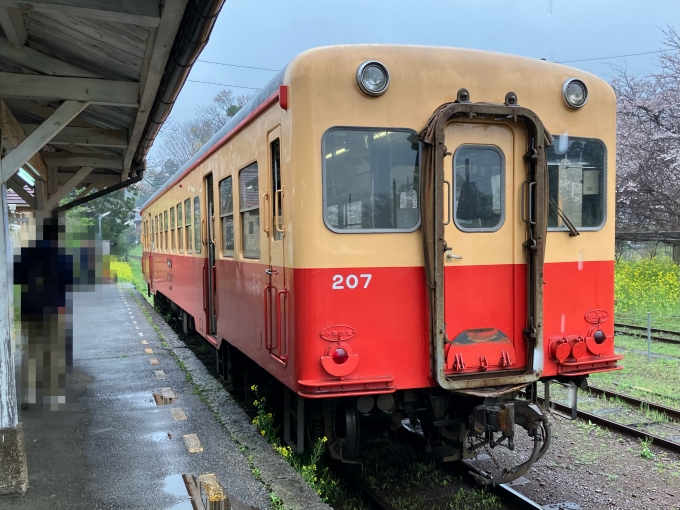 鉄道乗車記録の写真:乗車した列車(外観)(8)        「小湊鐵道キハ200形気動車。里見駅1番線。」