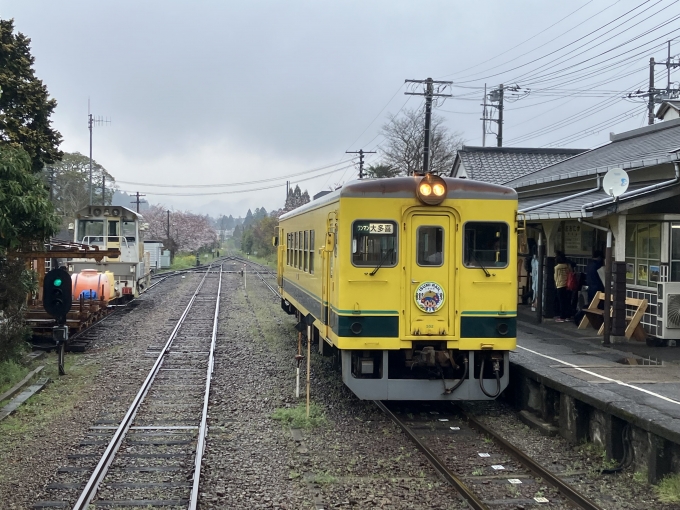 鉄道乗車記録の写真:列車・車両の様子(未乗車)(12)        「いすみ鉄道いすみ350形気動車。」