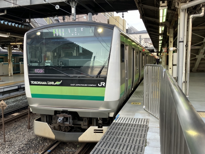 鉄道乗車記録の写真:乗車した列車(外観)(3)        「E233系横クラH009編成。東神奈川駅3番線？」