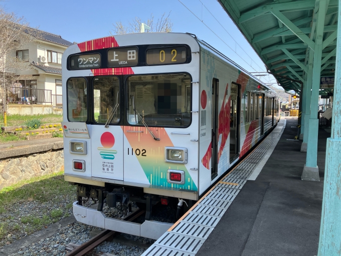 鉄道乗車記録の写真:乗車した列車(外観)(3)        「上田電鉄1000系1002編成。別所温泉駅発着線。」