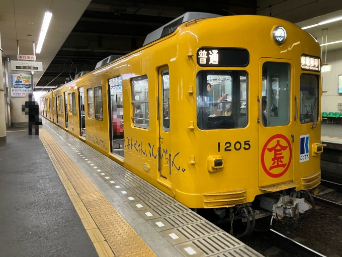 鉄道乗車記録の写真:乗車した列車(外観)(3)        「高松琴平電気鉄道1200形電車。瓦町駅2番線。」