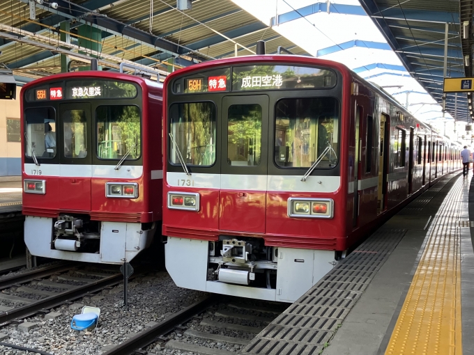 鉄道乗車記録の写真:乗車した列車(外観)(6)        「京急1500形1731F編成。三崎口駅1番線。」