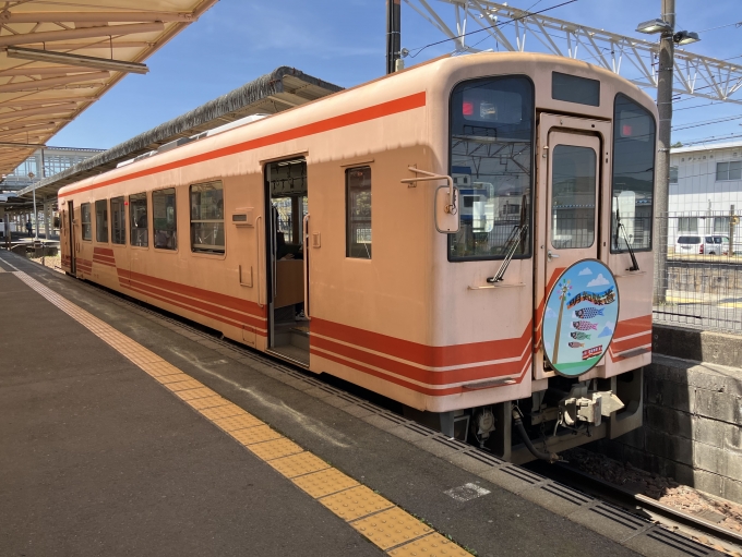 鉄道乗車記録の写真(4)        「明知鉄道アケチ100形気動車。恵那駅明知鉄道専用線。」