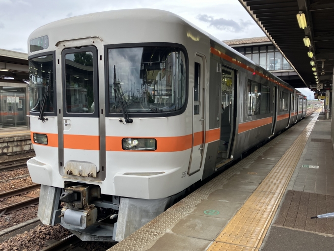 鉄道乗車記録の写真:乗車した列車(外観)(3)        「キハ25系海ミオP107編成。美濃太田駅2番線。」