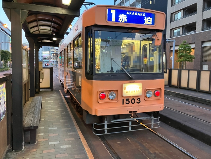 鉄道乗車記録の写真:乗車した列車(外観)(5)        「長崎電気軌道1500形電車。大学病院前電停西側のりば。」