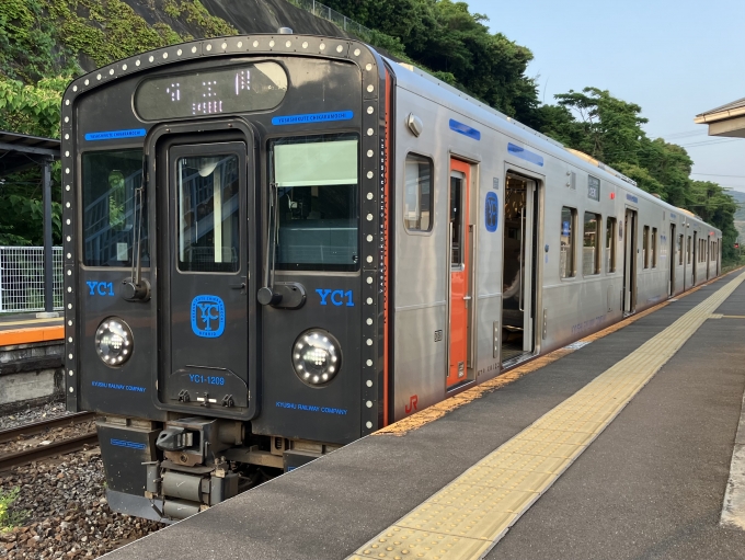 鉄道乗車記録の写真:乗車した列車(外観)(8)        「YC1系気動車編成名不明。大草駅1番のりば。」