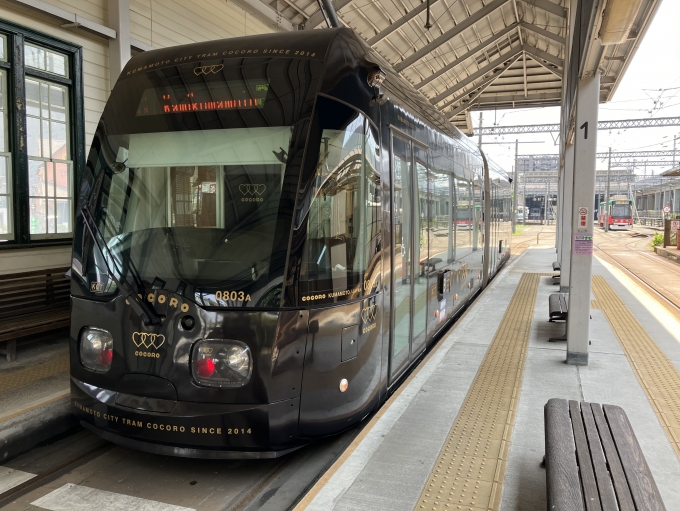 鉄道乗車記録の写真:乗車した列車(外観)(5)        「熊本市電0800形803編成。上熊本電停2番のりば。」