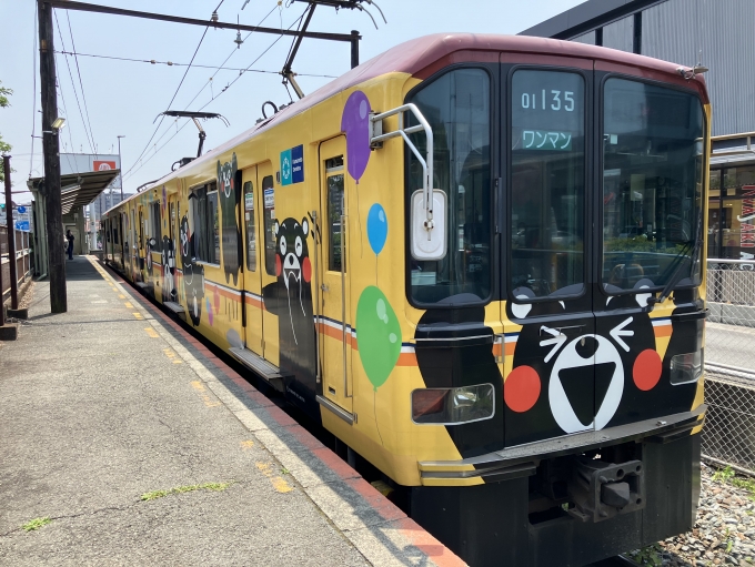 鉄道乗車記録の写真:乗車した列車(外観)(3)        「熊本電鉄01形01-135F編成。熊本電鉄上熊本駅発着線。」