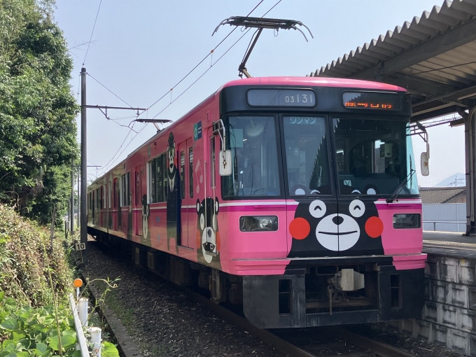 鉄道乗車記録の写真:乗車した列車(外観)(7)        「熊本電鉄03形03-131F編成。黒石駅2番のりば。」