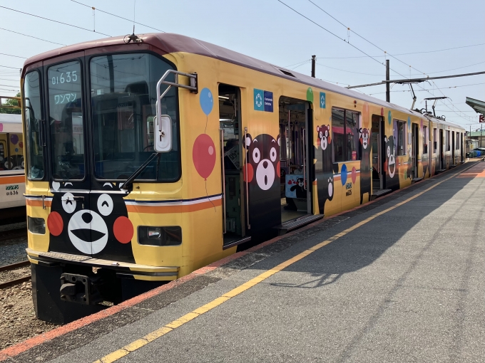 鉄道乗車記録の写真:乗車した列車(外観)(3)        「熊本電鉄 01形01-135F編成。北熊本駅3番のりば。」