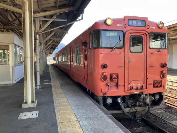 鉄道乗車記録の写真:乗車した列車(外観)(3)        「キハ47 139+キハ47 1。浜坂駅2番のりば。」