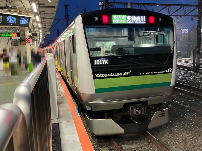 鉄道乗車記録の写真:乗車した列車(外観)(3)        「E233系横クラH005編成。八王子駅6番線。」