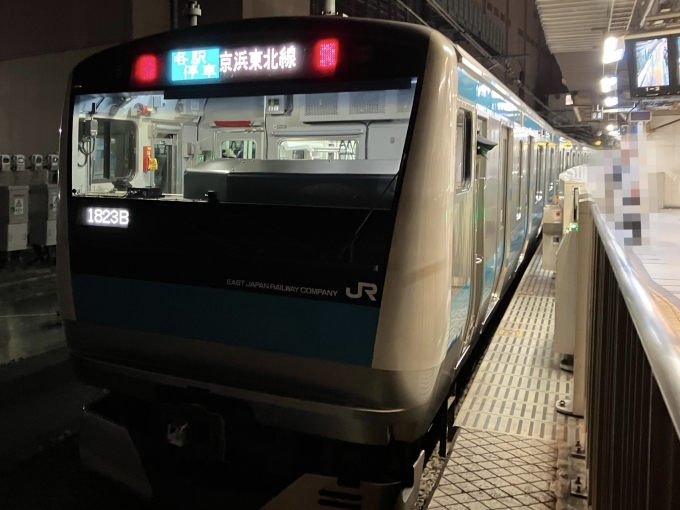 鉄道乗車記録の写真:乗車した列車(外観)(3)        「E233系宮サイ181編成。東神奈川駅1番線。」