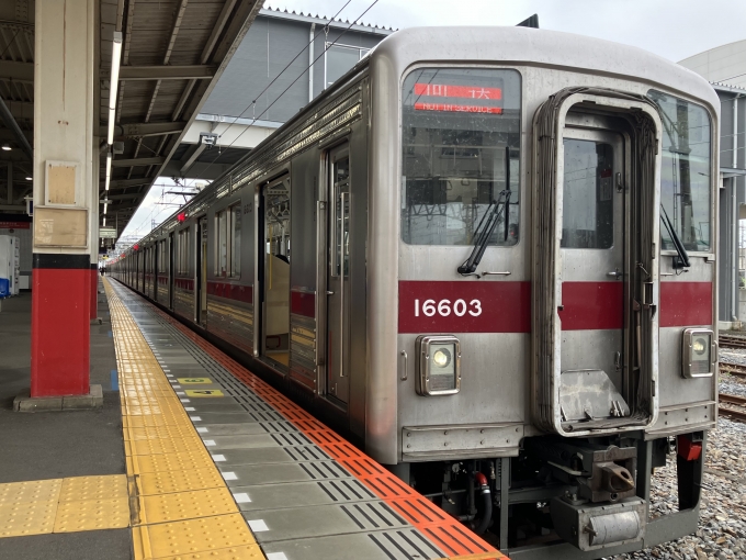 鉄道乗車記録の写真:乗車した列車(外観)(3)        「東武10000系11603F編成。東武動物公園駅5番線。」