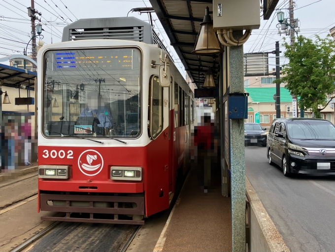 鉄道乗車記録の写真:乗車した列車(外観)(3)        「函館市交通局3000形電車。十字街電停南側のりば。」