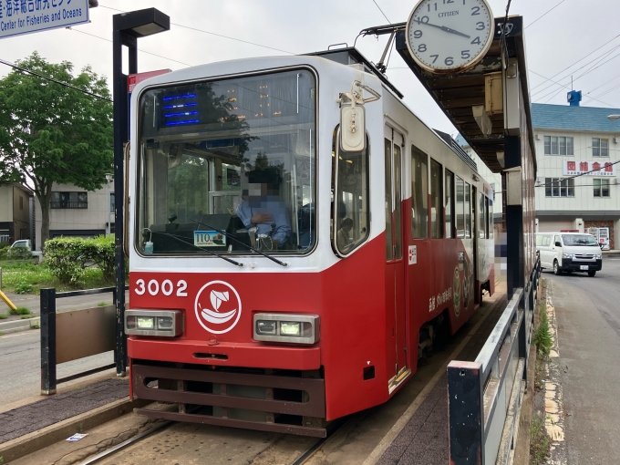 鉄道乗車記録の写真:乗車した列車(外観)(3)        「函館市交通局3000形電車。函館どつく前電停乗車専用線。」