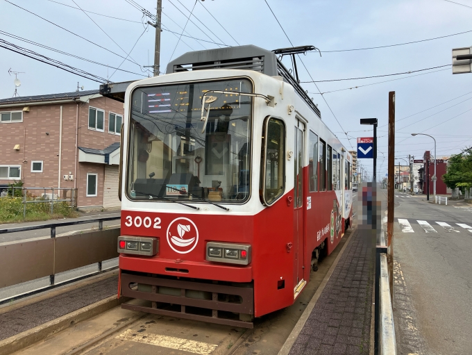 鉄道乗車記録の写真:乗車した列車(外観)(5)        「函館市交通局3000形電車。函館どつく前電停降車専用線。」