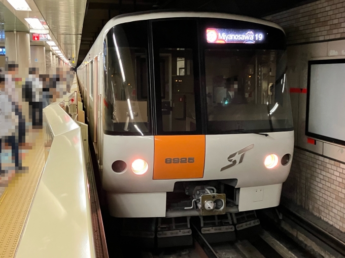 鉄道乗車記録の写真:乗車した列車(外観)(3)        「札幌市営地下鉄8000形8125F編成。大通駅4番線。」