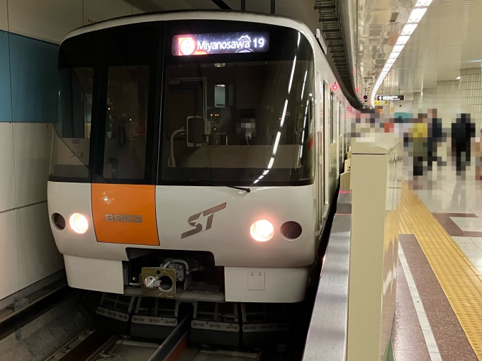 鉄道乗車記録の写真:乗車した列車(外観)(8)        「札幌市営地下鉄8000形8125F編成。宮の沢駅1番線。」