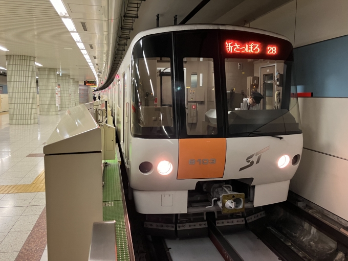 鉄道乗車記録の写真:乗車した列車(外観)(3)        「札幌市営地下鉄8000形8103F編成。宮の沢駅1番線。」