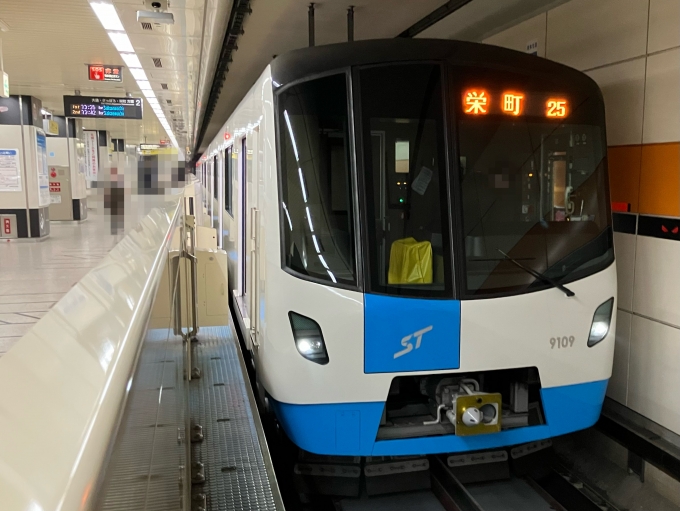 鉄道乗車記録の写真:乗車した列車(外観)(3)        「札幌市営地下鉄9000形9109F編成。福住駅2番線。」