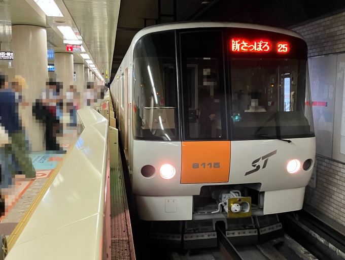 鉄道乗車記録の写真:乗車した列車(外観)(3)        「札幌市営地下鉄8000形8115F編成。大通駅3番線。」