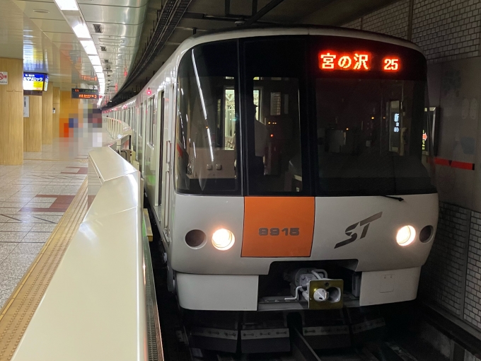鉄道乗車記録の写真:乗車した列車(外観)(3)        「札幌市営地下鉄8000形8115F編成。新さっぽろ駅2番線。」