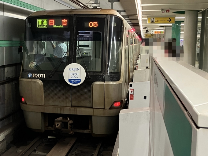 鉄道乗車記録の写真:乗車した列車(外観)(10)        「横浜市営地下鉄10000形10011F編成。地下鉄中山駅2番線。」