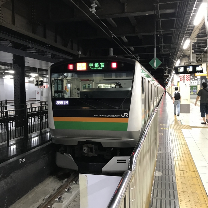 鉄道乗車記録の写真:乗車した列車(外観)(3)        「U-619編成。上野駅14番ホーム。」