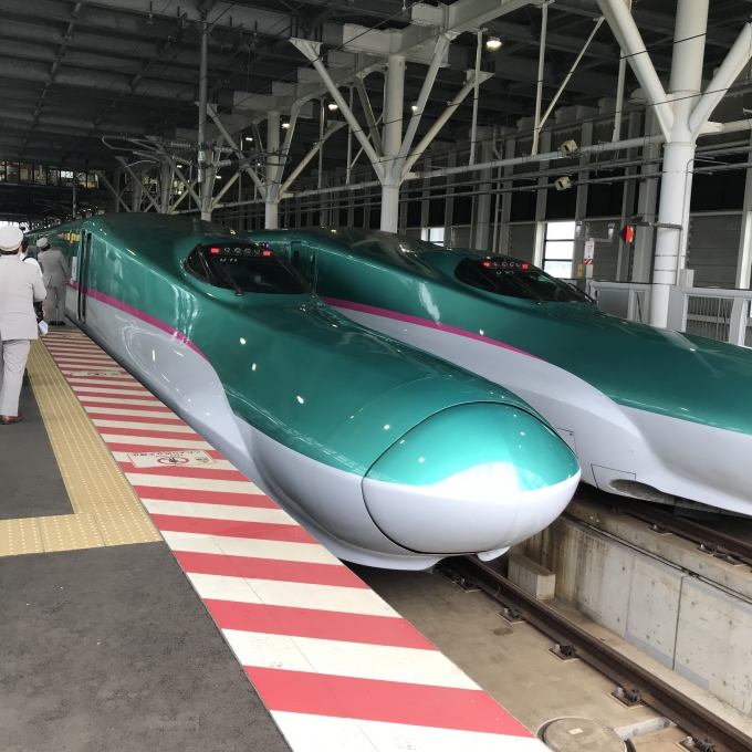 鉄道乗車記録の写真:乗車した列車(外観)(3)        「U11編成。新函館北斗駅11番のりば。」