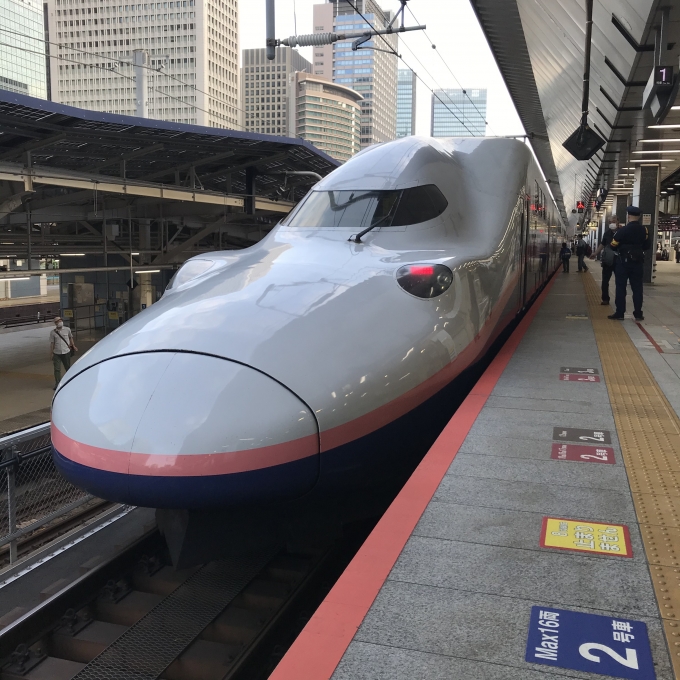 鉄道乗車記録の写真:乗車した列車(外観)(3)        「P33編成。東京駅20番ホーム。」