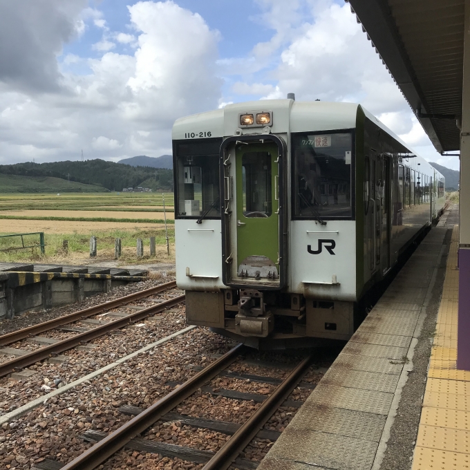 鉄道乗車記録の写真:乗車した列車(外観)(4)        「←キハ110-216＋キハ110-202。越後下関駅1番ホーム。」