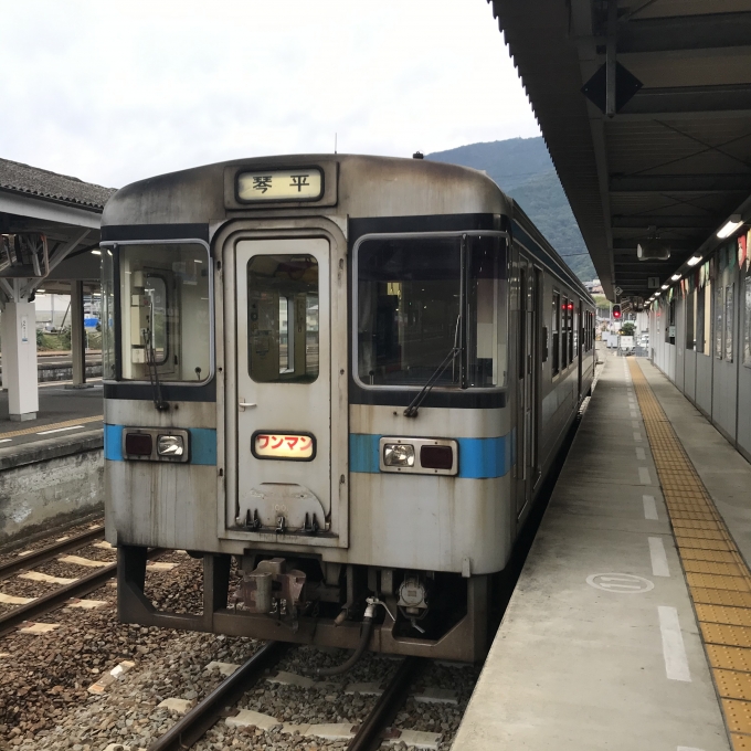 鉄道乗車記録の写真:乗車した列車(外観)(3)        「JR四国1000形(1001)。阿波池田駅1番のりば。」