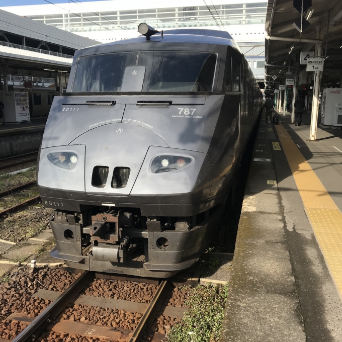 鉄道乗車記録の写真:乗車した列車(外観)(3)        「BO111編成。鹿児島中央駅4番のりば。」