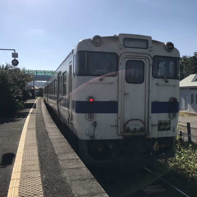 鉄道乗車記録の写真:乗車した列車(外観)(3)        「←キハ47 8123＋キハ47 9056。青島駅3番のりば。」