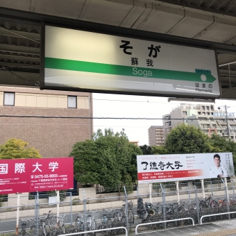 蘇我駅から大網駅の乗車記録(乗りつぶし)写真
