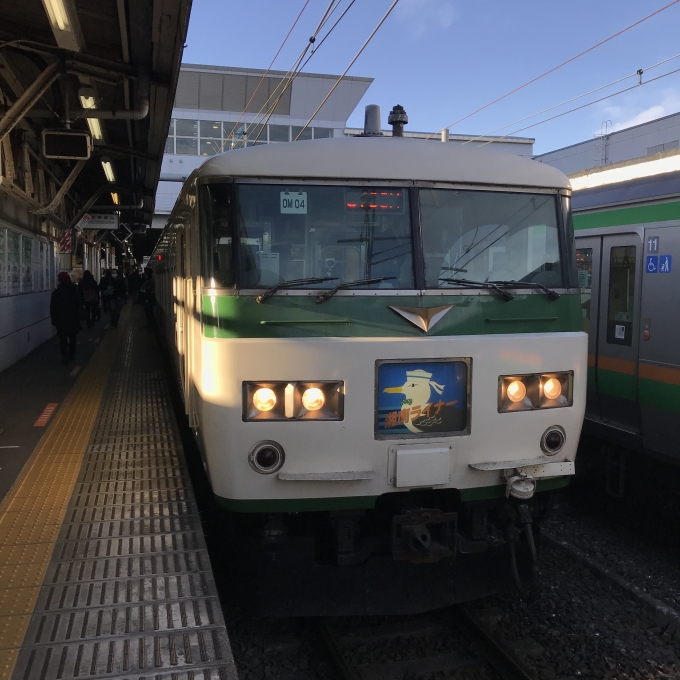 鉄道乗車記録の写真:乗車した列車(外観)(3)        「OM04編成。小田原駅4番ホーム。」