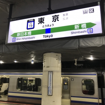 東京駅から上総一ノ宮駅の乗車記録(乗りつぶし)写真