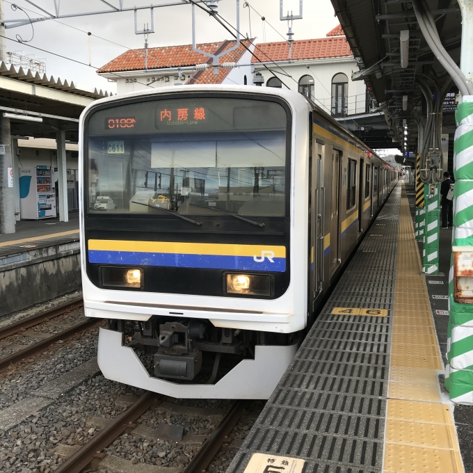 鉄道乗車記録の写真:乗車した列車(外観)(3)        「C611編成。館山駅2番ホーム。」