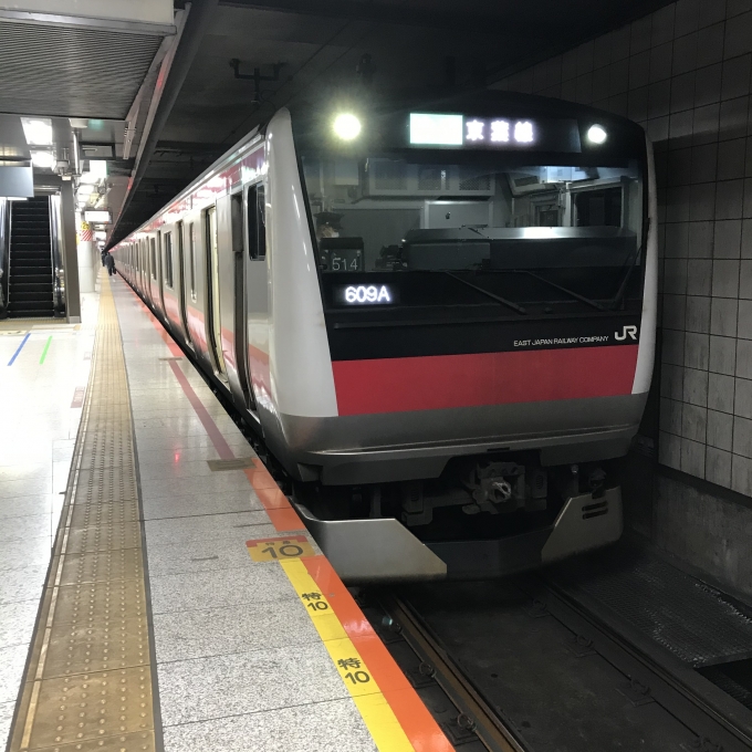 鉄道乗車記録の写真:乗車した列車(外観)(3)        「514編成。東京駅京葉線1番ホーム。」