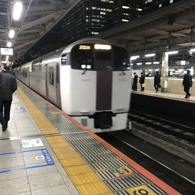 鉄道乗車記録の写真:乗車した列車(外観)(3)        「NL-4編成。東京駅9番ホーム。」