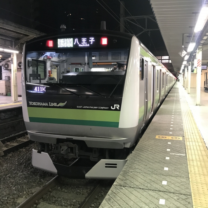 鉄道乗車記録の写真:乗車した列車(外観)(3)        「H019編成。東神奈川駅2番ホーム。」