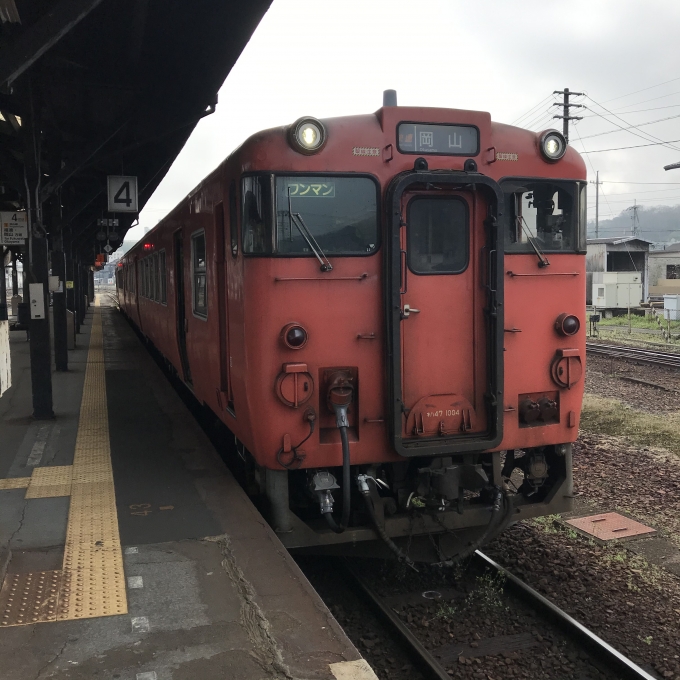 鉄道乗車記録の写真:乗車した列車(外観)(3)        「← キハ47 1004＋キハ47 44。津山駅4番のりば。」