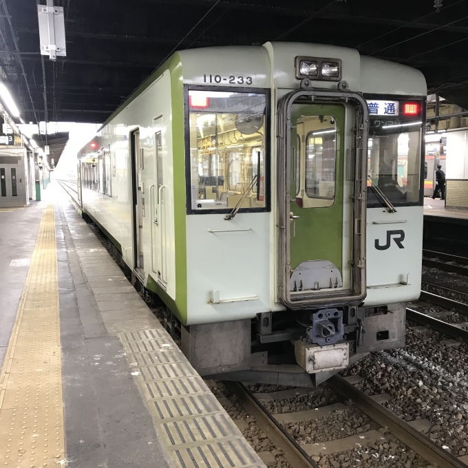鉄道乗車記録の写真:乗車した列車(外観)(3)        「キハ110-233。長岡駅3番線。」