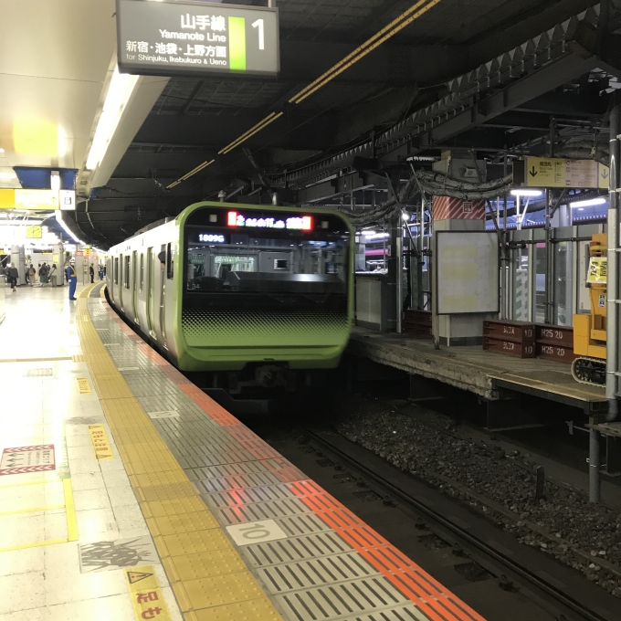 鉄道乗車記録の写真:乗車した列車(外観)(3)        「E235系11両東トウ34編成。渋谷駅1番線。」