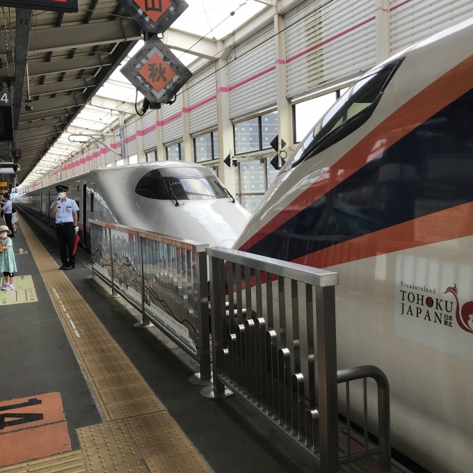 鉄道乗車記録の写真:乗車した列車(外観)(4)        「福島駅14番線。東北新幹線やまびこ146号東京行J60編成10両に連結。」