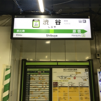 渋谷駅から高田馬場駅の乗車記録(乗りつぶし)写真