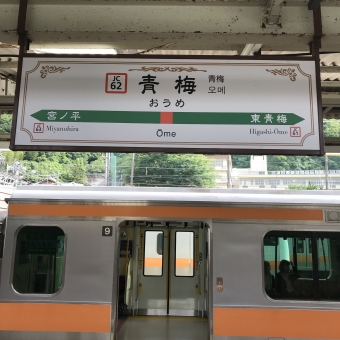 青梅駅から横浜駅:鉄道乗車記録の写真